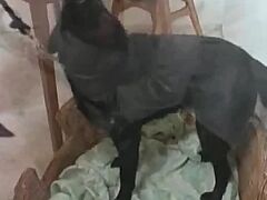 nude mom porn